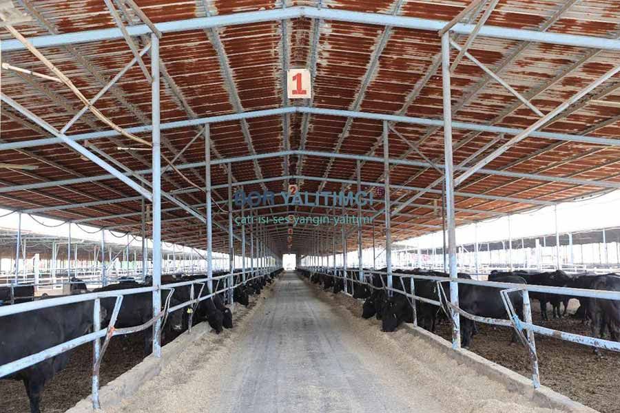 En Uygun Hayvan Çiftliği Yalıtımı